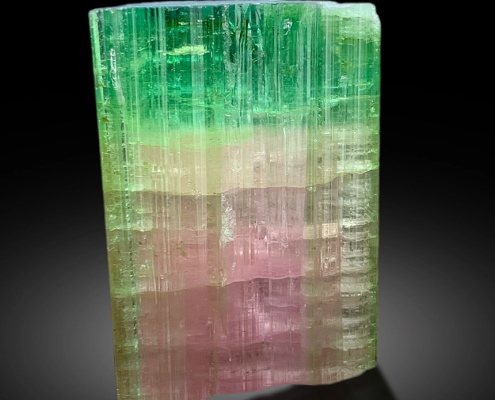 Tormalina Watermelon